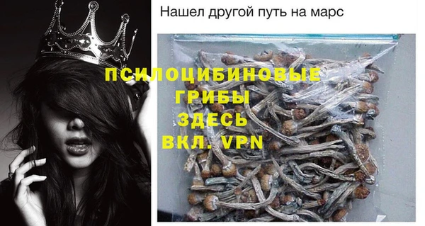 spice Новодвинск