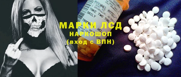 apvp Новозыбков