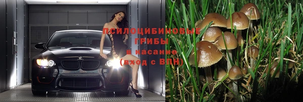 дживик Новокубанск